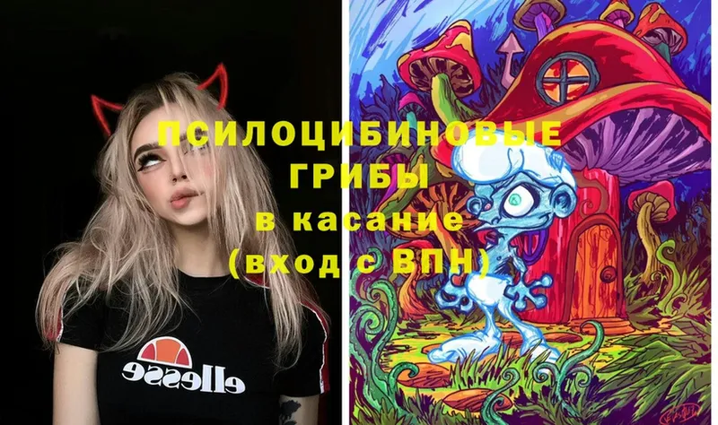 Галлюциногенные грибы MAGIC MUSHROOMS  Пугачёв 